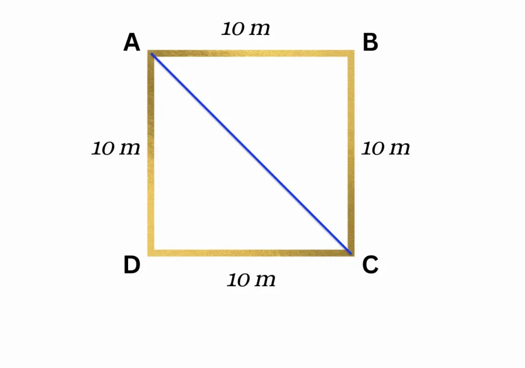 A square field Motion NCERT Class 9